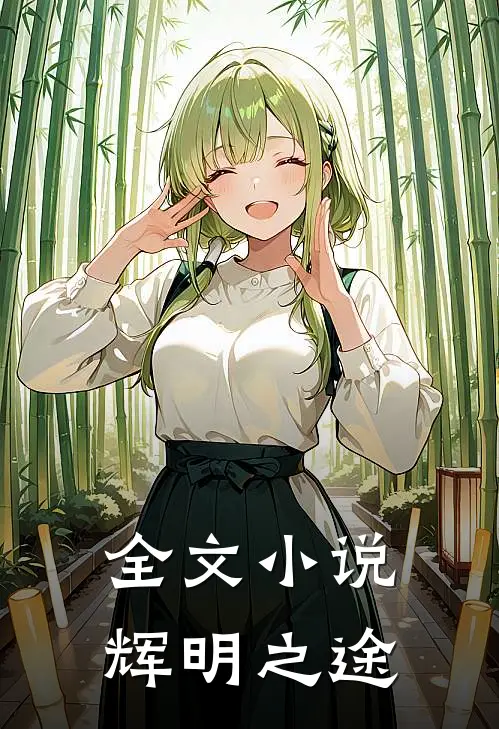 全文小说辉明之途