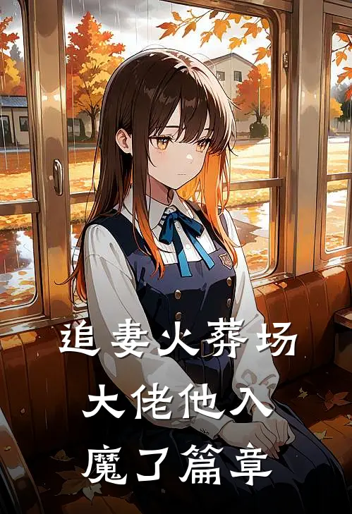 追妻火葬场，大佬他入魔了篇章