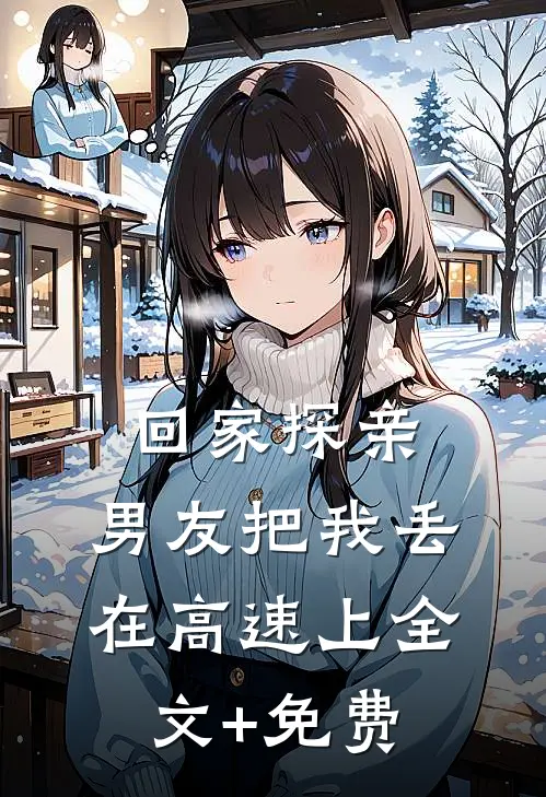 回家探亲，男友把我丢在高速上全文+免费