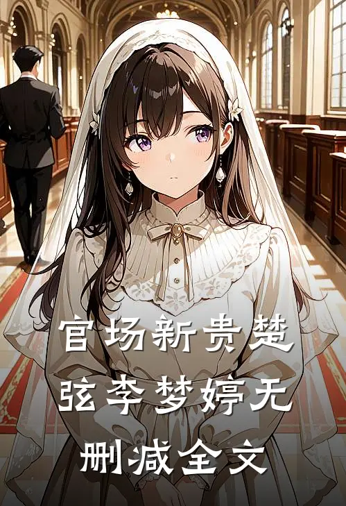 官场新贵楚弦李梦婷无删减全文