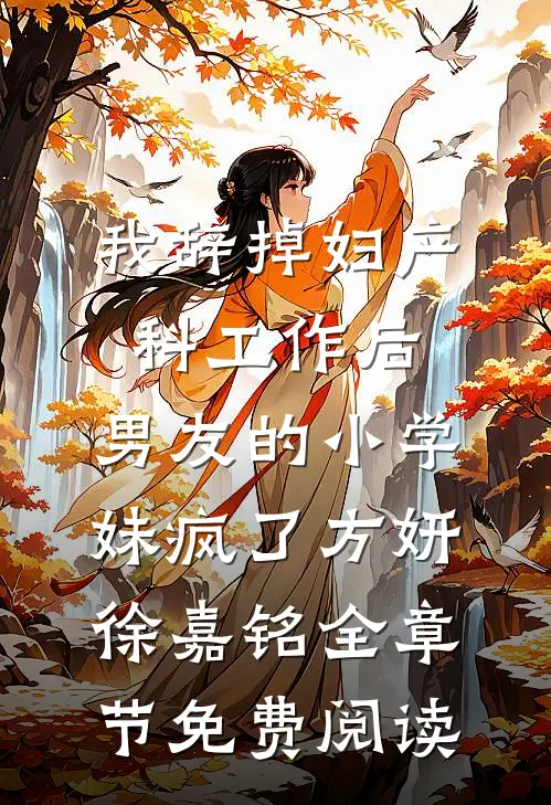 我辞掉妇产科工作后，男友的小学妹疯了方妍徐嘉铭全章节免费阅读
