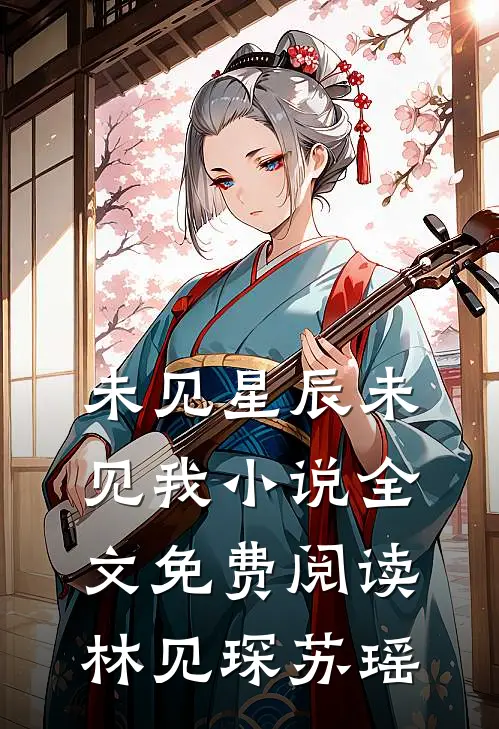 未见星辰未见我小说全文免费阅读林见琛苏瑶