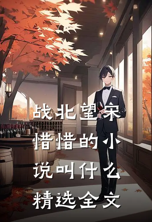 战北望宋惜惜的小说叫什么精选全文