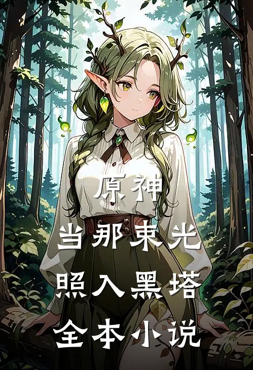 原神：当那束光照入黑塔全本小说