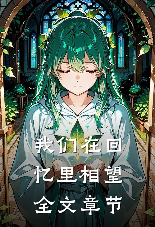 我们在回忆里相望全文章节