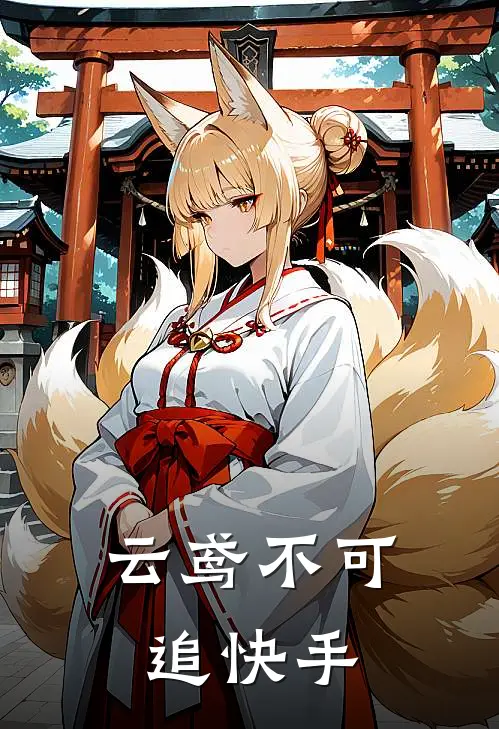云鸢不可追快手