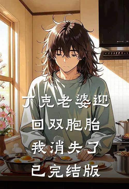 丁克老婆迎回双胞胎，我消失了已完结版