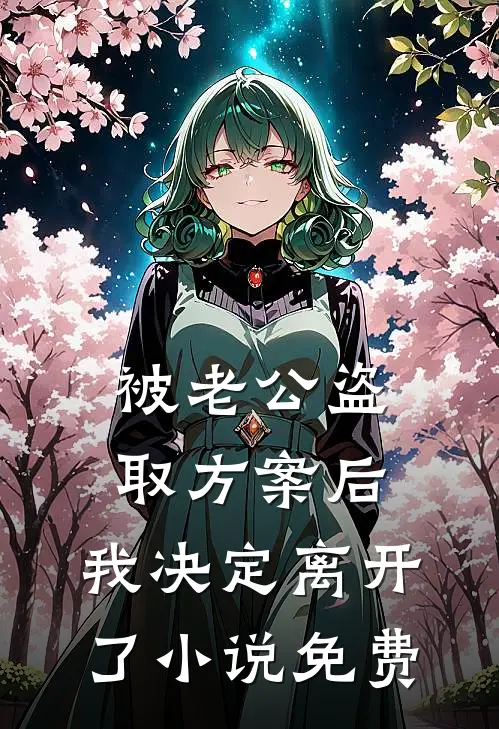被老公盗取方案后，我决定离开了小说免费