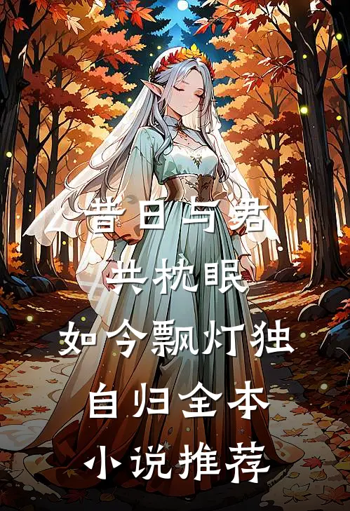 昔日与君共枕眠，如今飘灯独自归全本小说推荐