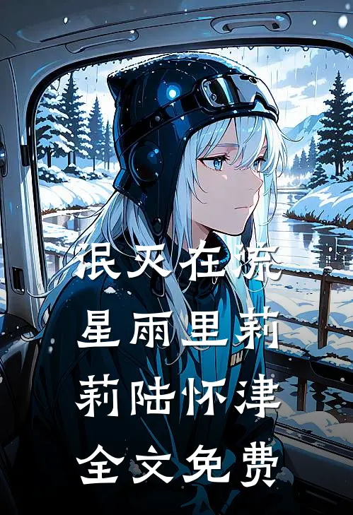 泯灭在流星雨里莉莉陆怀津全文免费