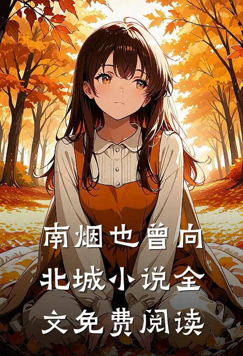 南烟也曾向北城小说全文免费阅读