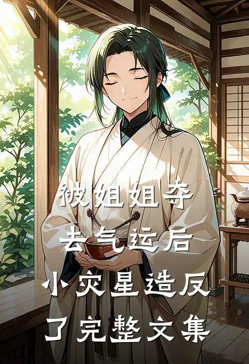 被姐姐夺去气运后，小灾星造反了完整文集