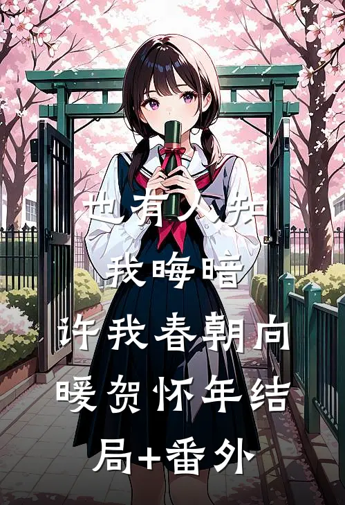 也有人知我晦暗，许我春朝向暖贺怀年结局+番外