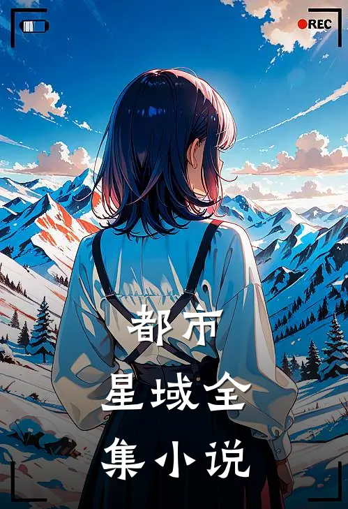 都市：星域全集小说