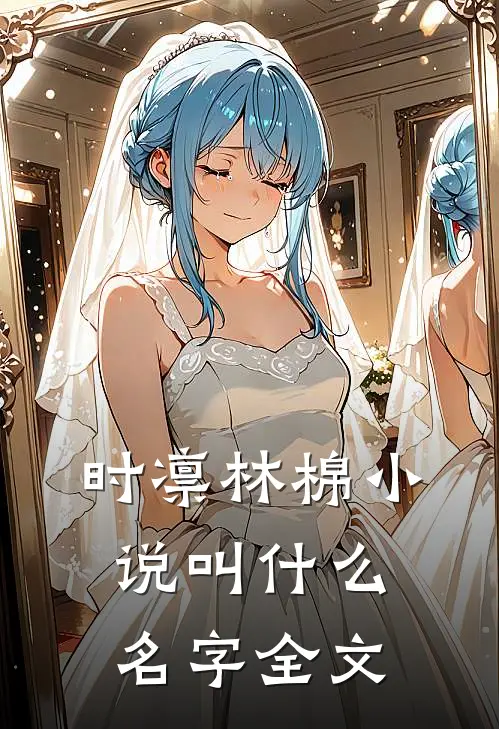 时凛林棉小说叫什么名字全文