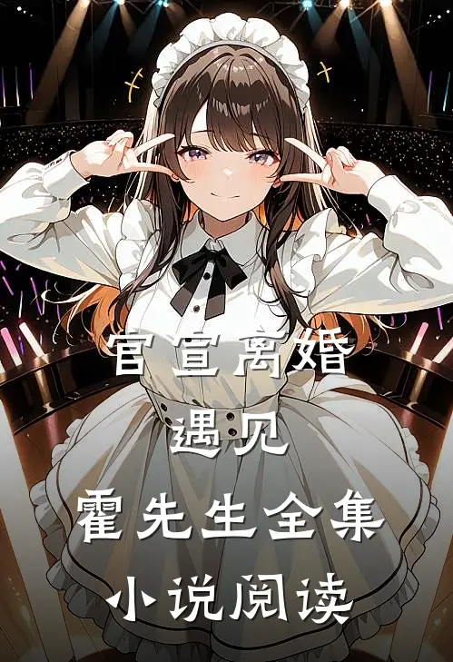 官宣离婚：遇见，霍先生全集小说阅读