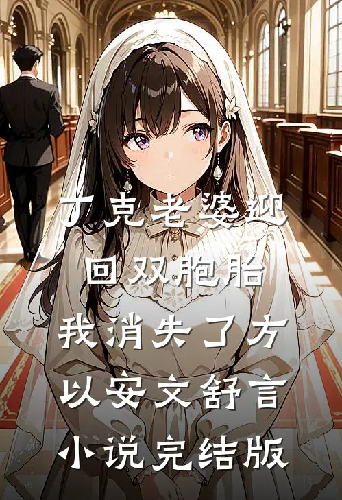 丁克老婆迎回双胞胎，我消失了方以安文舒言小说完结版