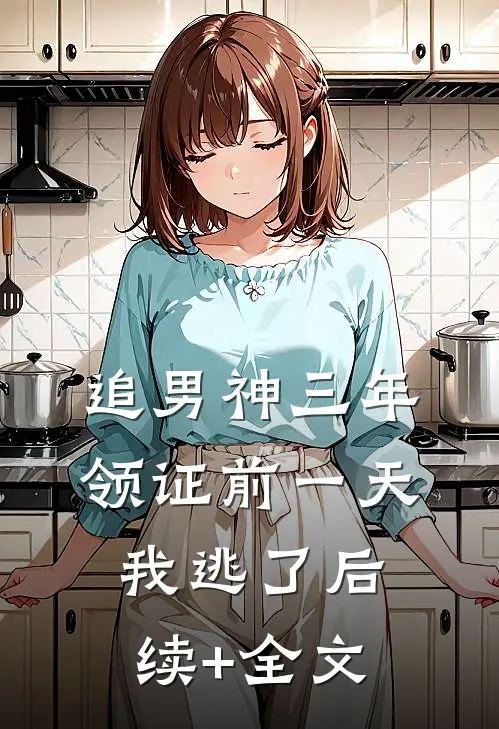 追男神三年，领证前一天我逃了后续+全文