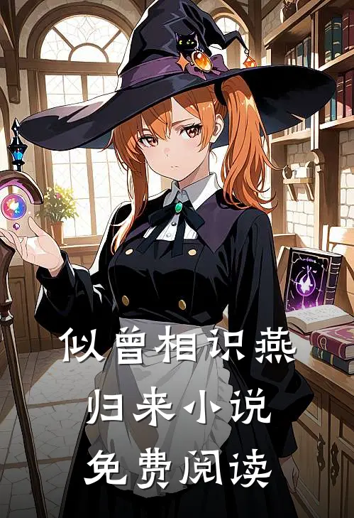 似曾相识燕归来小说免费阅读