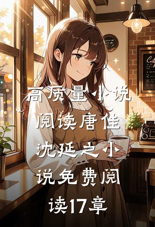 高质量小说阅读唐佳沈延之小说免费阅读17章