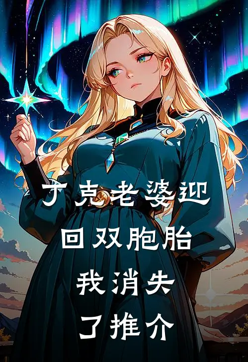 丁克老婆迎回双胞胎，我消失了推介