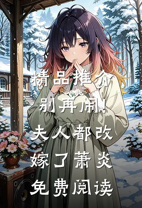 精品推介别再闹!夫人都改嫁了萧炎免费阅读