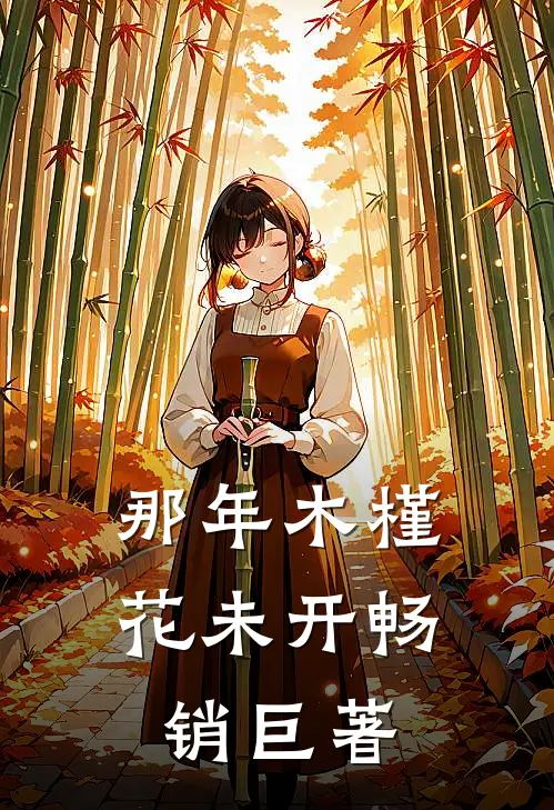 那年木槿花未开畅销巨著