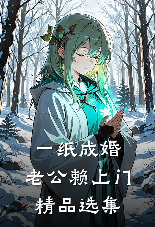 一纸成婚，老公赖上门精品选集
