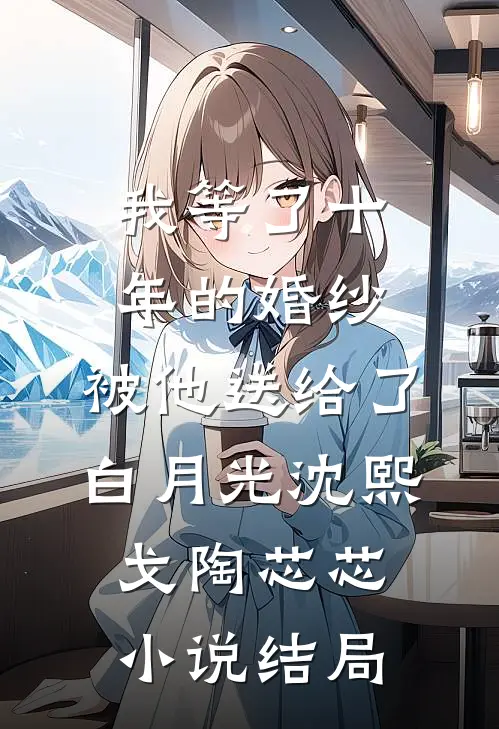 我等了十年的婚纱，被他送给了白月光沈熙戈陶芯芯小说结局
