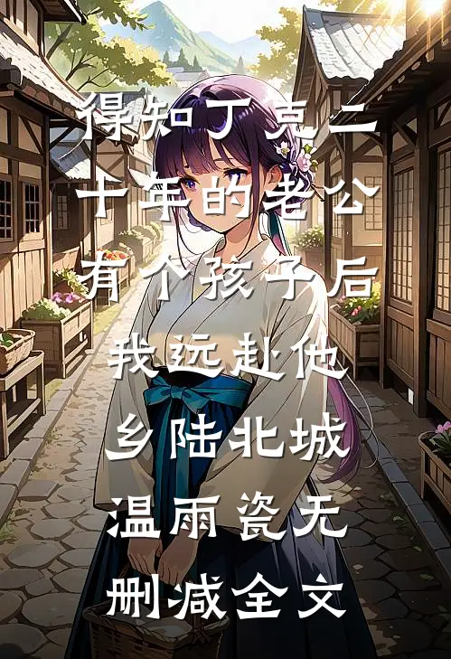得知丁克二十年的老公有个孩子后，我远赴他乡陆北城温雨瓷无删减全文