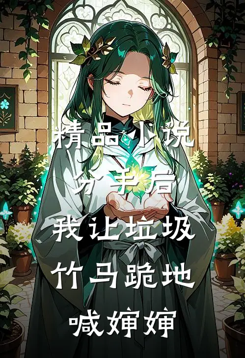 精品小说分手后，我让垃圾竹马跪地喊婶婶
