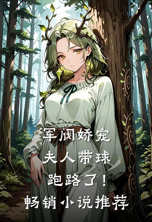 军阀娇宠：夫人带球跑路了！畅销小说推荐