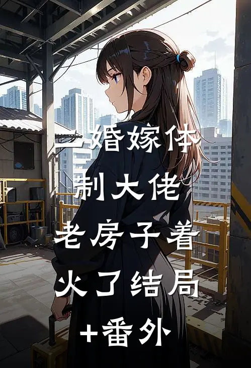 二婚嫁体制大佬，老房子着火了结局+番外
