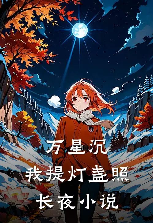 万星沉，我提灯盏照长夜小说