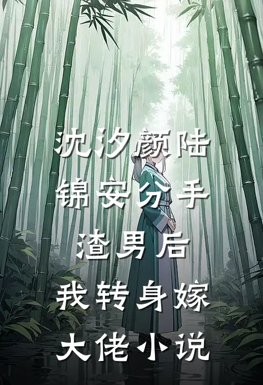 沈汐颜陆锦安分手渣男后，我转身嫁大佬小说