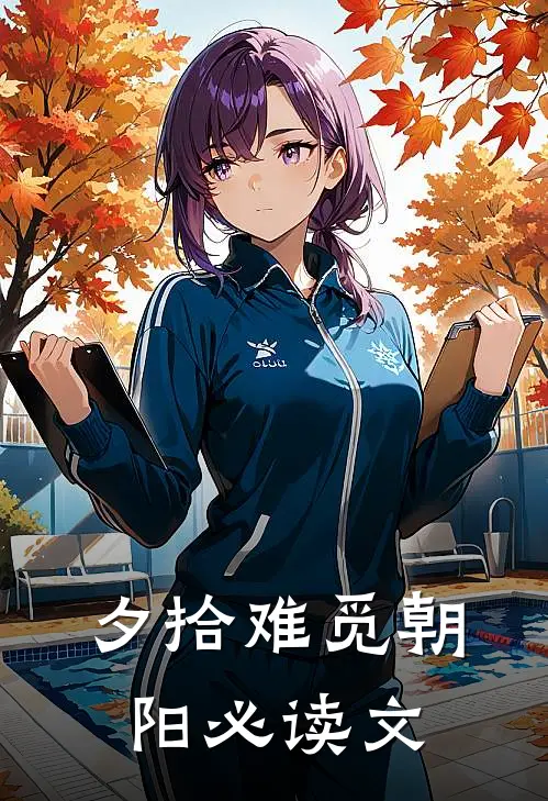 夕拾难觅朝阳必读文