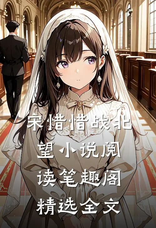 宋惜惜战北望小说阅读笔趣阁精选全文