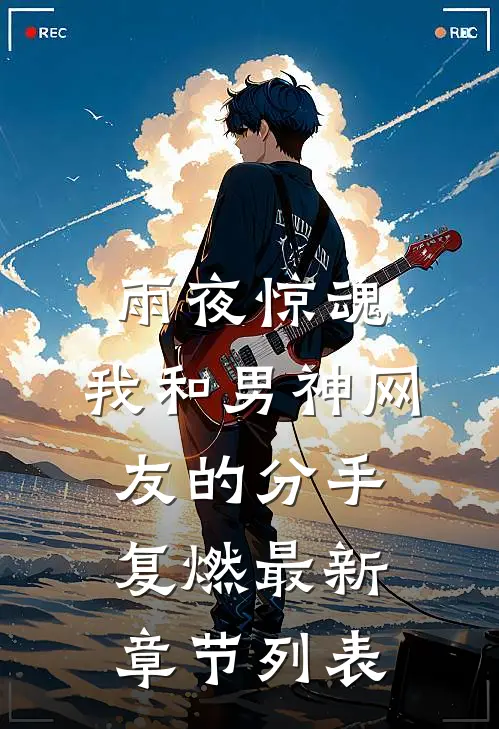 雨夜惊魂，我和男神网友的分手复燃最新章节列表