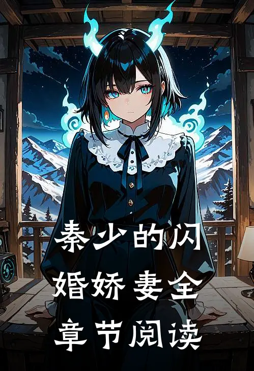 秦少的闪婚娇妻全章节阅读