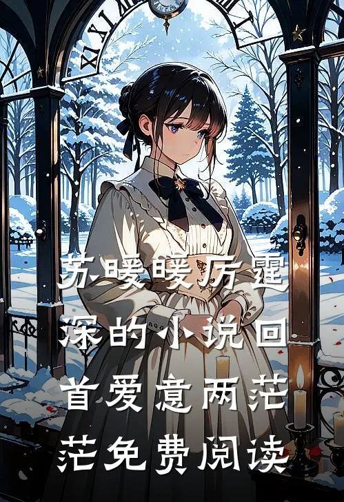 苏暖暖厉霆深的小说回首爱意两茫茫免费阅读