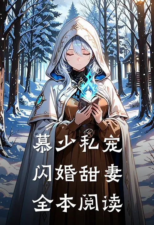 慕少私宠闪婚甜妻全本阅读
