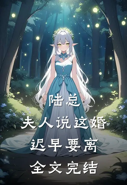 陆总，夫人说这婚迟早要离全文完结