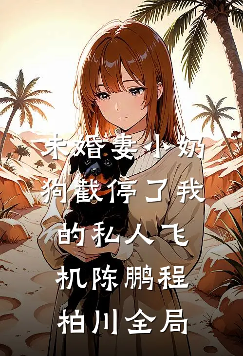未婚妻小奶狗截停了我的私人飞机陈鹏程柏川全局