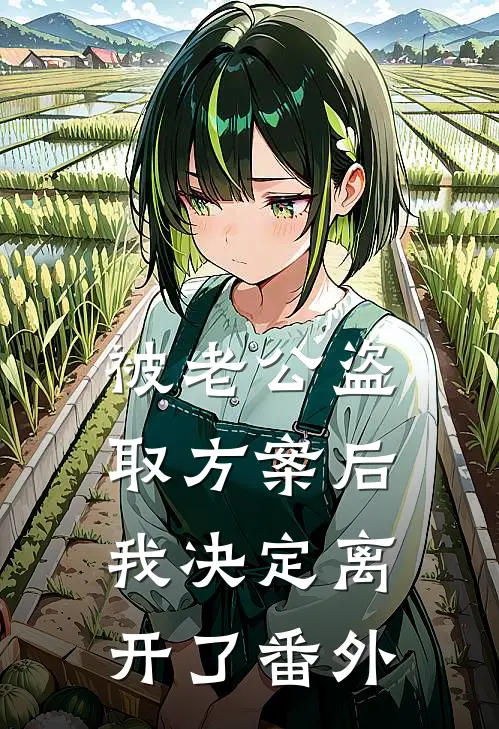 被老公盗取方案后，我决定离开了番外