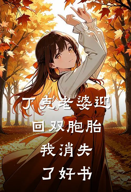 丁克老婆迎回双胞胎，我消失了好书
