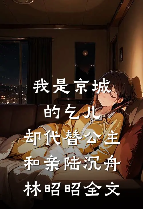 我是京城的乞儿，却代替公主和亲陆沉舟林昭昭全文