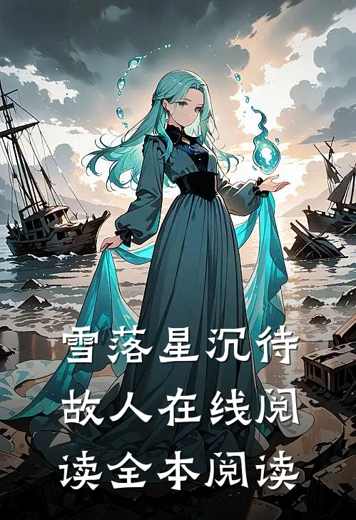 雪落星沉待故人在线阅读全本阅读