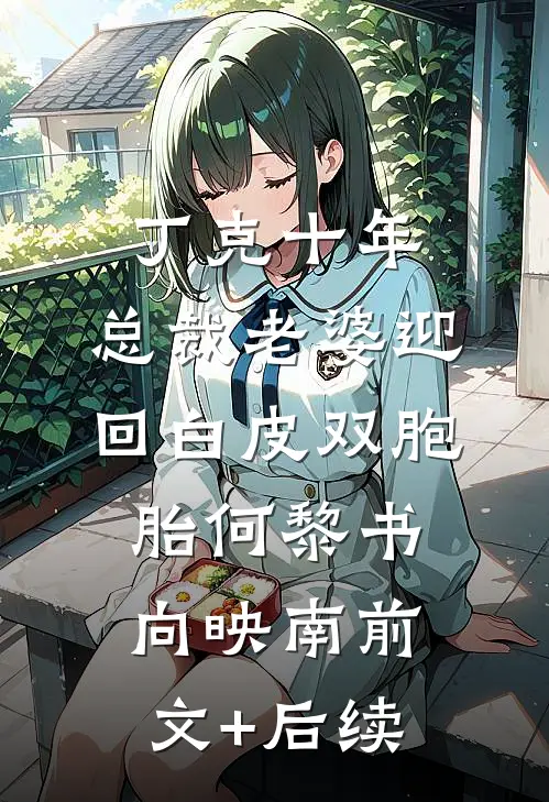 丁克十年，总裁老婆迎回白皮双胞胎何黎书向映南前文+后续