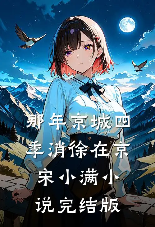 那年京城四季消徐在京宋小满小说完结版