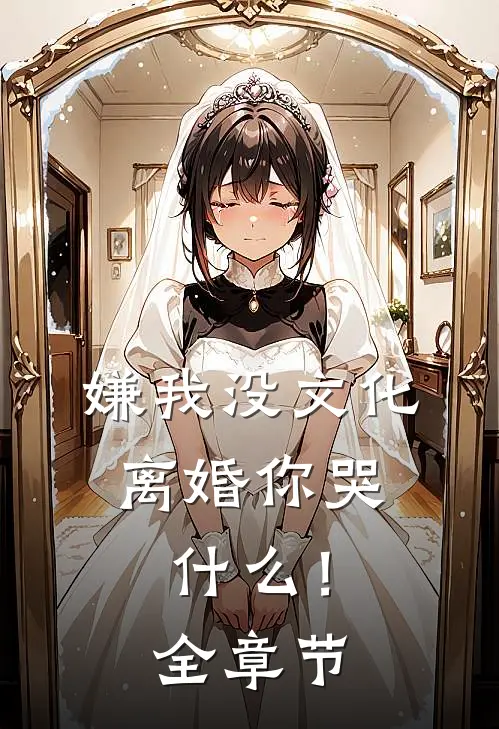 嫌我没文化，离婚你哭什么！全章节